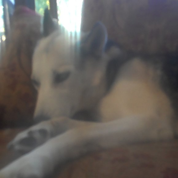 nothing - Picture 2 of 4